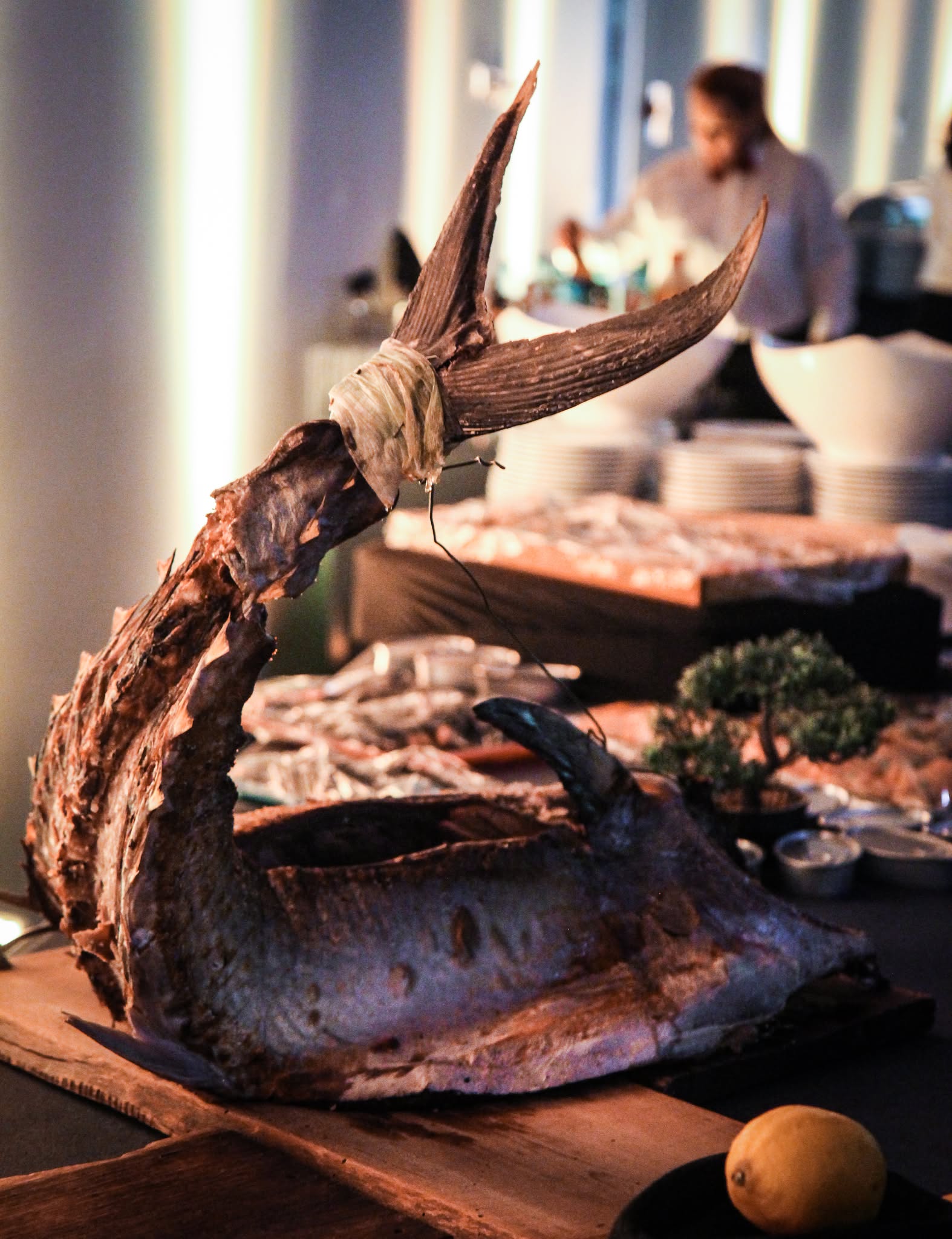 609118669_1940484046870176_8705869159597245354_n