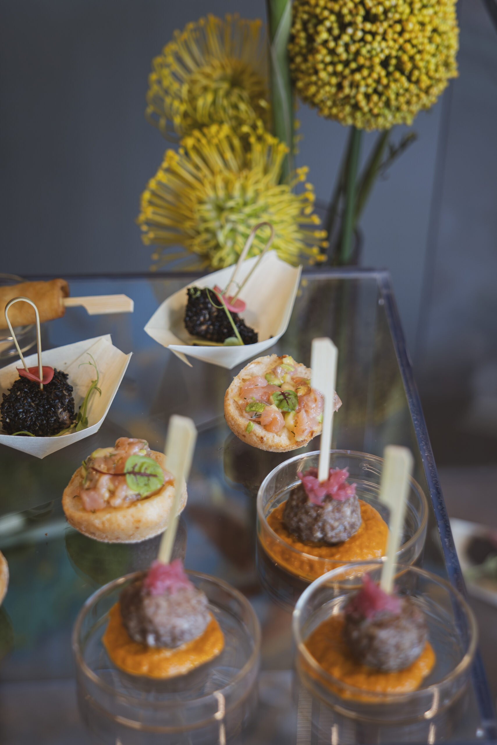 BTV 25 years (382 of 1730)