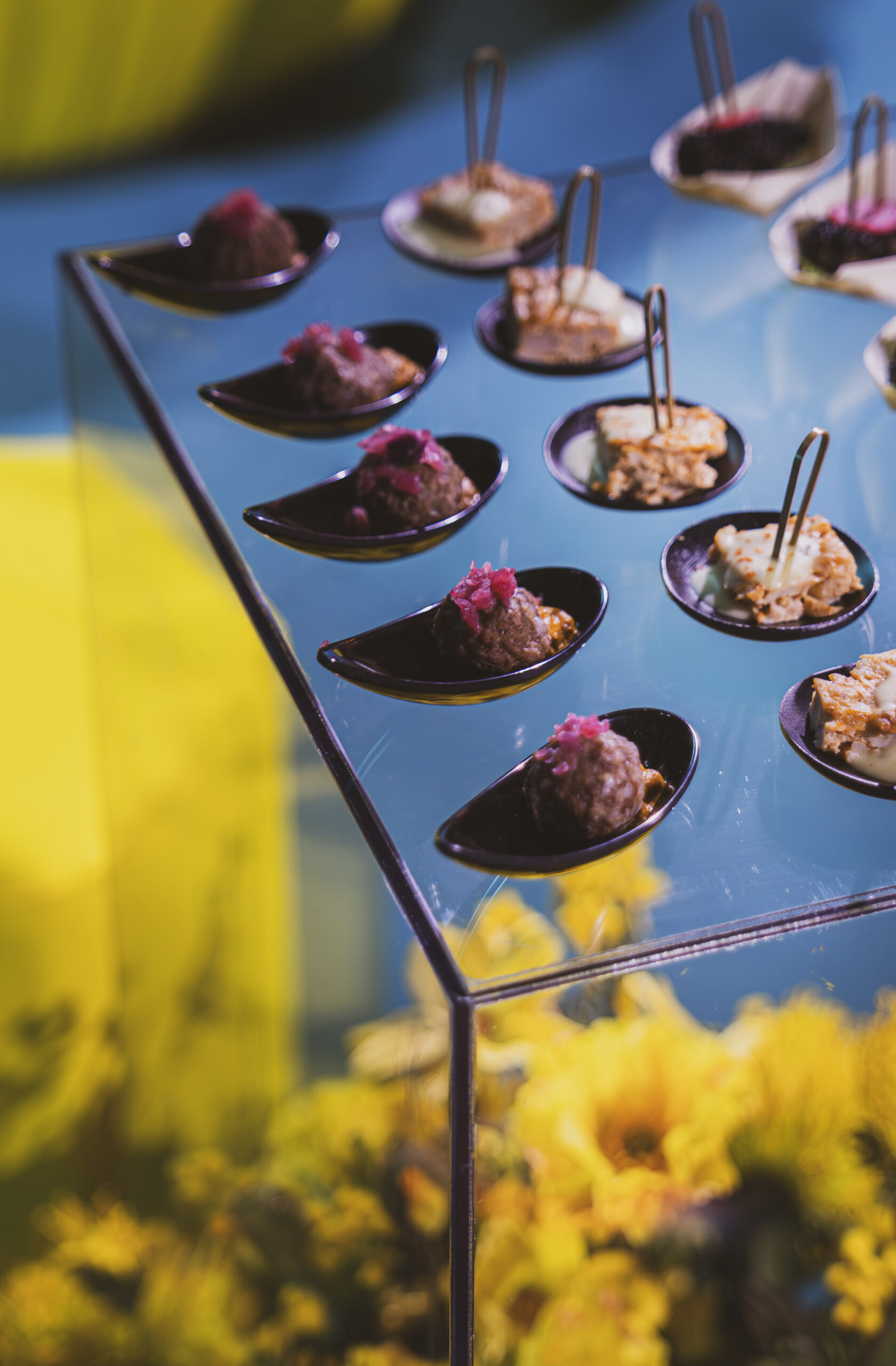 BTV 25 years (435 of 1730)