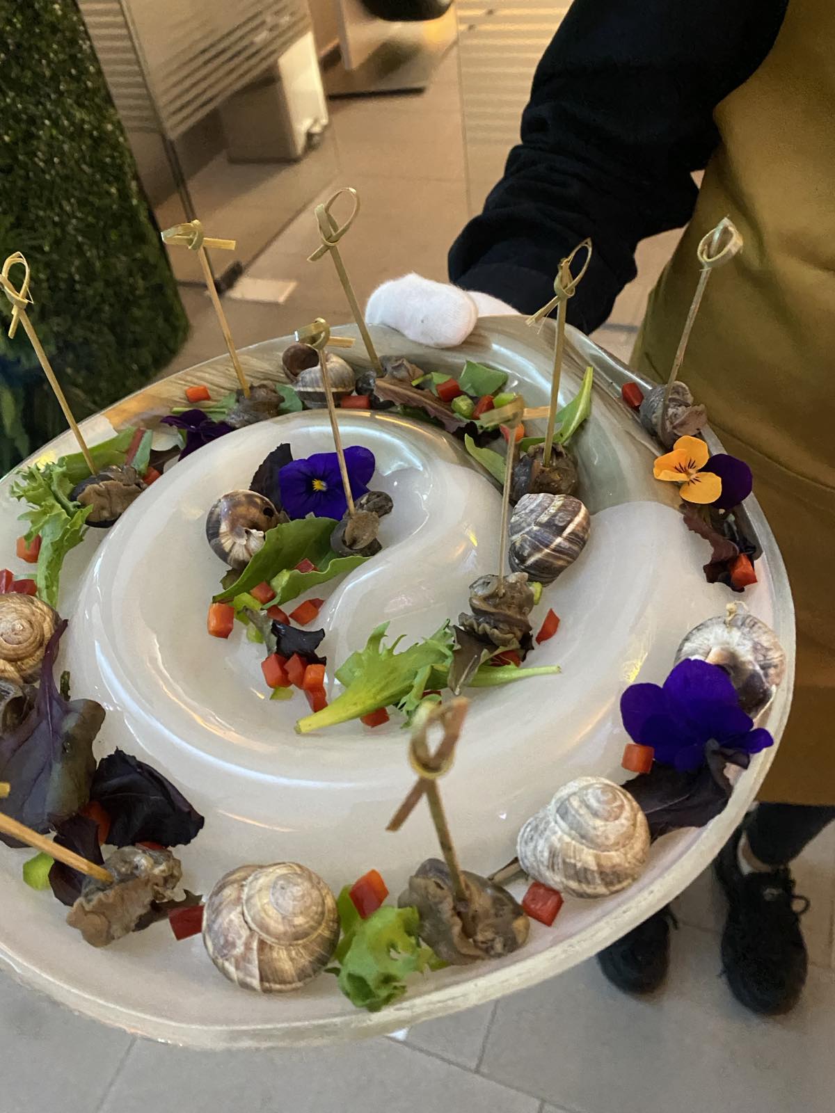 viber_изображение_2026-01-14_10-06-27-218