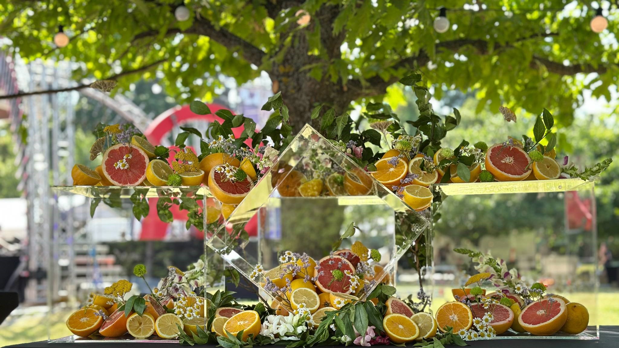 dc1e4133-5c75-4a18-a325-955371d2de53